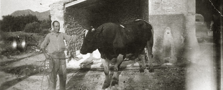 Es rafalet