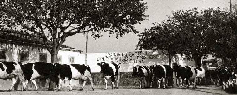 Es rafalet