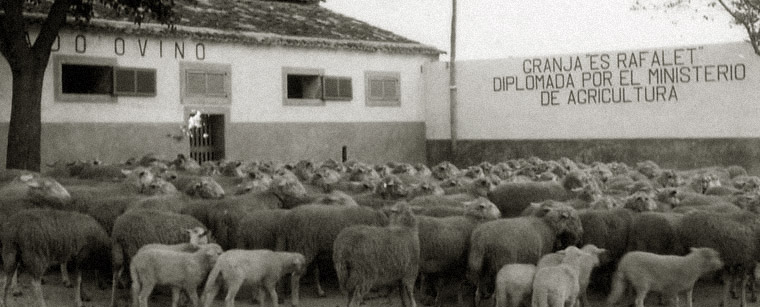 Es rafalet